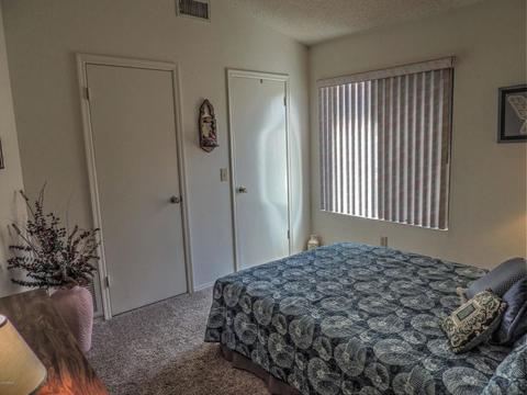 4227 E Mountain Sage Dr, Phoenix, AZ 85044 photo 20