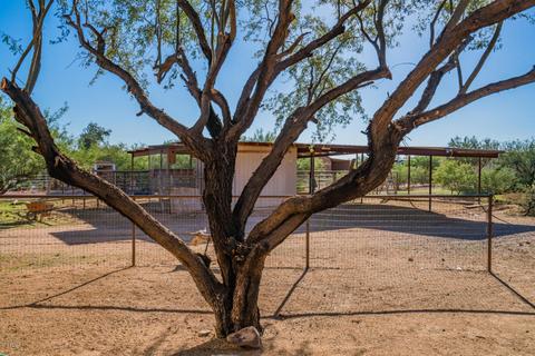 929 E Joy Ranch Rd, Phoenix, AZ 85086 photo 44