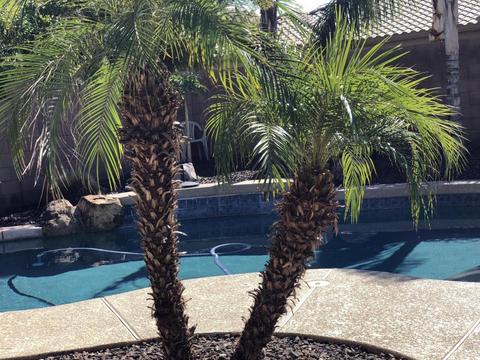 3083 E Powell Way, Gilbert, AZ 85298 photo 3