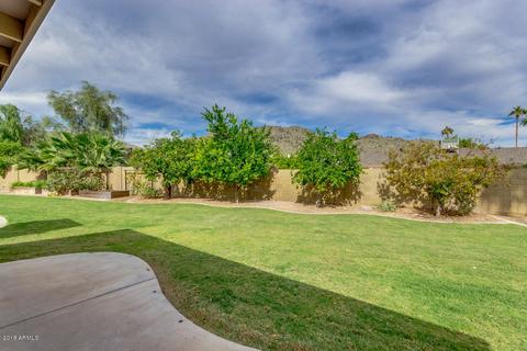 10207 S 43rd Pl, Phoenix, AZ 85044 photo 35