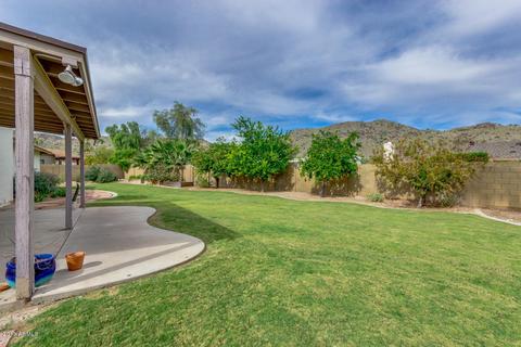 10207 S 43rd Pl, Phoenix, AZ 85044 photo 29