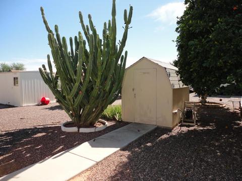 5307 E Dodge St, Mesa, AZ 85205 photo 24
