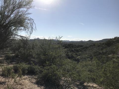 0 Mockingbird Rd #0, Wickenburg, AZ 85390