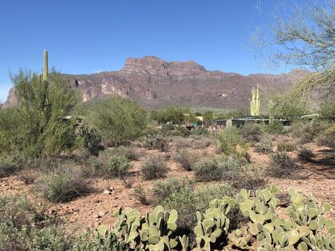 5824 E 20th Ave, Apache Junction, AZ 85119 photo 2