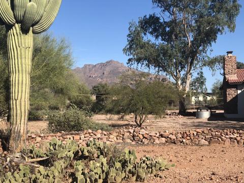 5824 E 20th Ave, Apache Junction, AZ 85119 photo 8