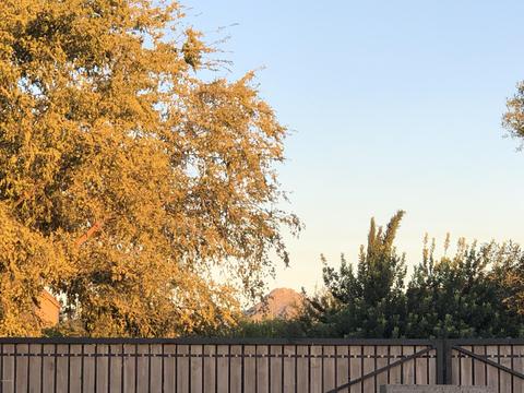 7809 N 16th Ln, Phoenix, AZ 85021 photo 27