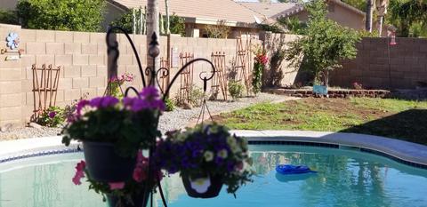 310 E Constitution Dr, Gilbert, AZ 85296 photo 42