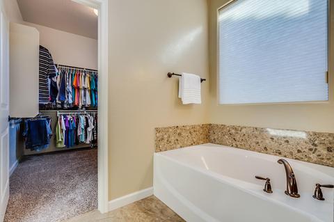 9117 E Indigo St, Mesa, AZ 85207 photo 31