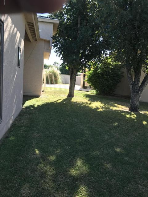 906 E Tuckey Ln, Phoenix, AZ 85014 photo 9
