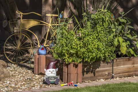 3610 E Donald Dr, Phoenix, AZ 85050 photo 50