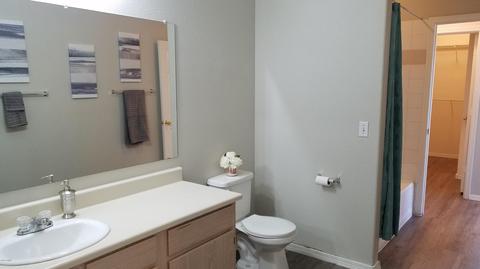 3236 E Chandler Blvd #3075, Phoenix, AZ 85048 photo 24