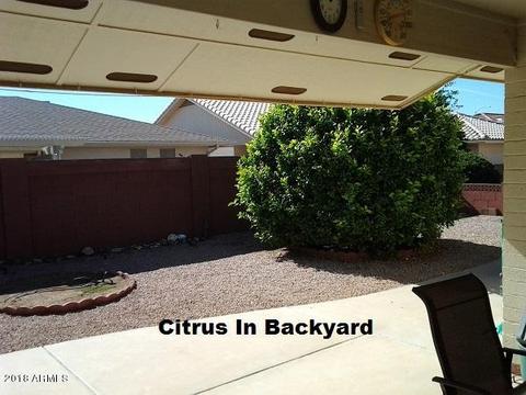 7855 E Navarro Ave, Mesa, AZ 85209 photo 35