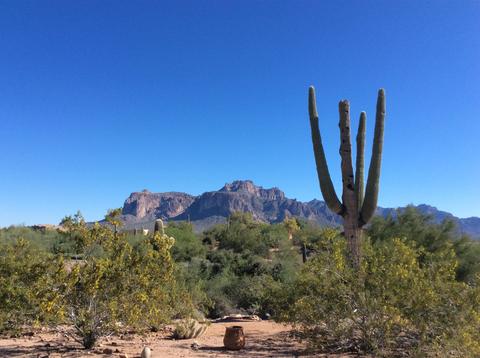 2794 E Superstition Blvd, Apache Junction, AZ 85119 photo 27