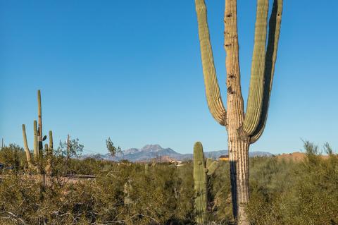 2794 E Superstition Blvd, Apache Junction, AZ 85119 photo 14