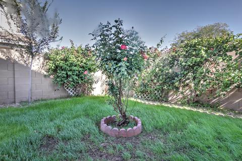 8746 E Kiowa Ave, Mesa, AZ 85209 photo 44