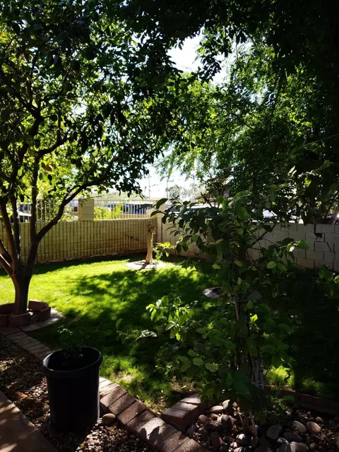 2554 E Mobile Ln, Phoenix, AZ 85040 photo 1