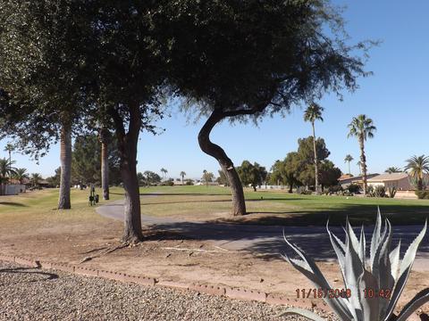 8260 Euclid Ave, Mesa, AZ 85208 photo 4