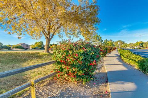 9616 E Monte Ave, Mesa, AZ 85209 photo 58