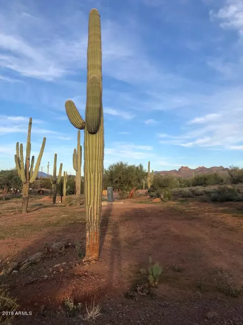 4611 N Farside Ln #-, Apache Junction, AZ 85119 photo 14