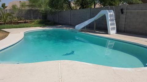 950 E Piute Ave, Phoenix, AZ 85024 photo 28