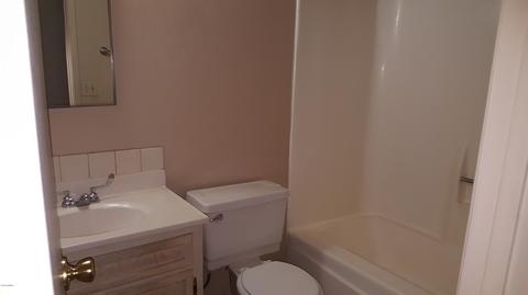 445 E Hampton Ave, Mesa, AZ 85204 photo 4