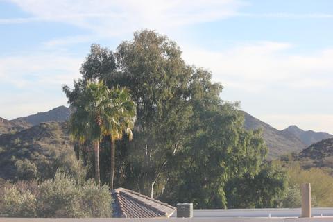 1720 E Thunderbird Rd #2034, Phoenix, AZ 85022 photo 12