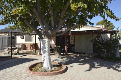 303 E Jacaranda St, Mesa, AZ 85201 photo 16