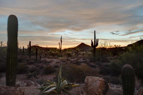 11442 E Minton St, Mesa, AZ 85207 photo 33