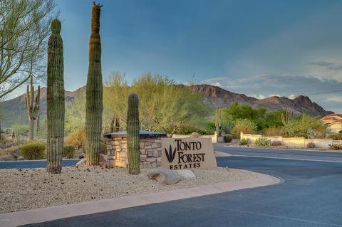 11442 E Minton St, Mesa, AZ 85207 photo 18