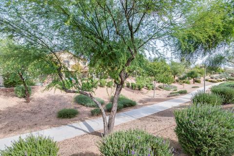 2994 E Vernon St, Gilbert, AZ 85298 photo 52