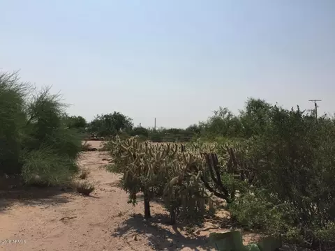 137 N Vista Rd #-, Apache Junction, AZ 85119 photo 5