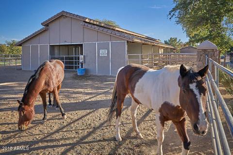 1564 E Stirrup Ct, Gilbert, AZ 85296 photo 56
