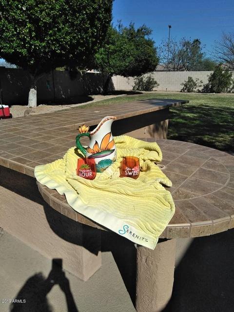 1564 E Stirrup Ct, Gilbert, AZ 85296 photo 6