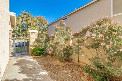 4023 E Betsy Ct, Gilbert, AZ 85296 photo 5