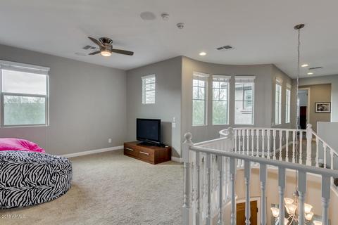 3605 E Cat Balue Dr, Phoenix, AZ 85050 photo 26