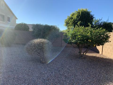 1306 E Birdland Dr, Gilbert, AZ 85297 photo 25