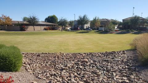 2970 E Harrison St, Gilbert, AZ 85295 photo 11