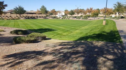 2970 E Harrison St, Gilbert, AZ 85295 photo 10