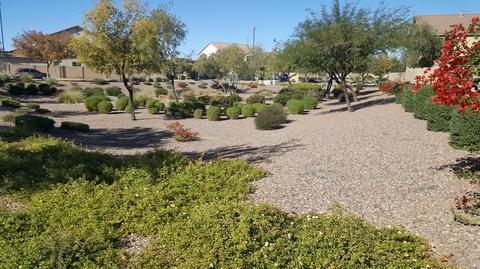 2970 E Harrison St, Gilbert, AZ 85295 photo 78