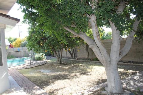 427 E Alameda Dr, Tempe, AZ 85282 photo 24