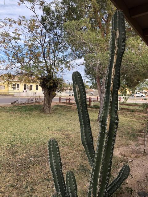 133 5th Ave E, Buckeye, AZ 85326 photo 2