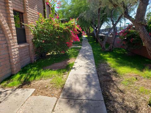 4401 E Hubbell St #63, Phoenix, AZ 85008 photo 1