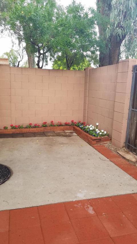 4401 E Hubbell St #63, Phoenix, AZ 85008 photo 3