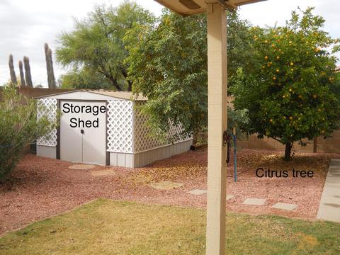 7811 E Naranja Ave, Mesa, AZ 85209 photo 14