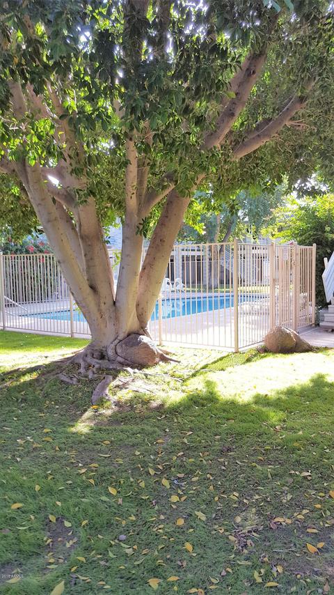 749 E Montebello Ave #120, Phoenix, AZ 85014 photo 7