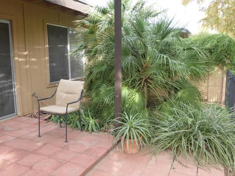 5413 S Mitchell Dr, Tempe, AZ 85283 photo 14