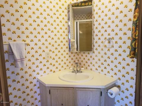 162 S Hilton Rd, Apache Junction, AZ 85119 photo 8