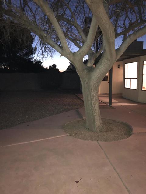 3043 E Villa Rita Dr, Phoenix, AZ 85032 photo 18