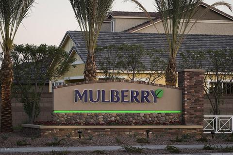 10732 E Nido Ave, Mesa, AZ 85209 photo 2