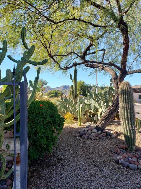 4601 E Sunrise Dr, Phoenix, AZ 85044 photo 24